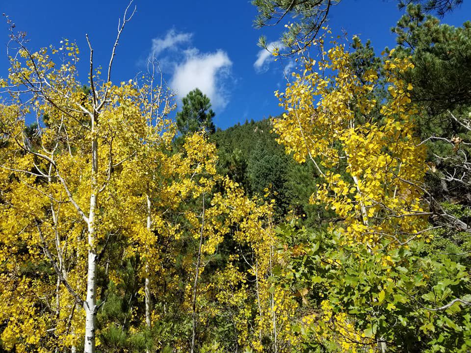 7 Bridges Trail